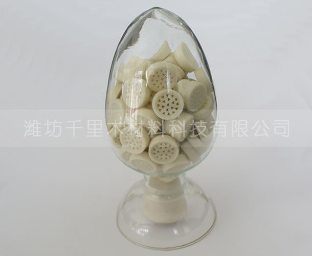 催化剂载体模具